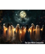 The Seer Witch Companion~Giving You Divinely Inspired Predictions or Ins... - £140.99 GBP