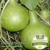 20 Seeds Bottle Gourd Non-Gmo - £7.94 GBP