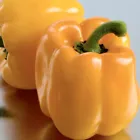  Sweet Canary Yellow Bell Pepper Seeds 30+ - £7.09 GBP