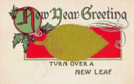 Turn Over A New LEAF-IF You Must Lie Tell A Big ONE-LIFT Up LEAF- 1909POSTCARD - £7.17 GBP