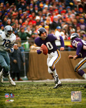 Fran Tarkenton Minnesota Vikings  Photo Picture Print #1118 - £13.87 GBP+