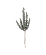 Succulent Plant Pick (Set of 6) - $67.86