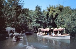 Disneyland Jungle Cruise 3x5 ORIGINAL postcard Photo #YN5155 - £3.58 GBP