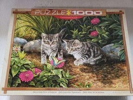 1000 Piece Eurographics Puzzle - Kittens - $8.90