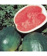 WATERMELON SEED, BLACK DIAMOND, HEIRLOOM, ORGANIC 100 SEEDS, NON GMO, MELON - £3.17 GBP