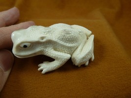 FROG-W30) little Frog shed ANTLER figurine Bali detailed amphibian love ... - $114.99