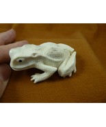 FROG-W30) little Frog shed ANTLER figurine Bali detailed amphibian love ... - $114.99