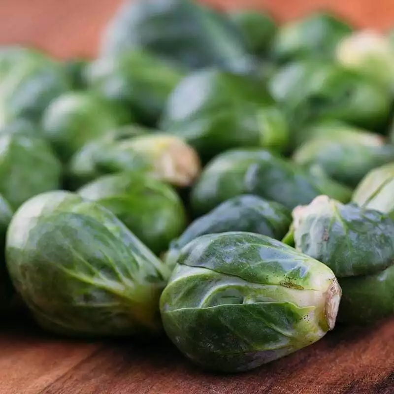 SYST 250 Seeds Catskill Brussels Sprouts Heirloom Seed Catalog Home Garden - £7.06 GBP