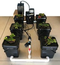 Southern Hydroponics Recirculating Deep Water Culture(RWDC) 1+6 Hydro Sy... - £369.71 GBP