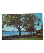 Postcard Speculator New York Beautiful Lake Pleasant Chrome Posted - $10.80 CAD
