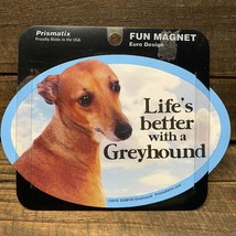 Oval Dog Breed Picture Car Magnet Life`s Better with a Greyhound Decal 6&quot; x 4&quot; - £3.98 GBP