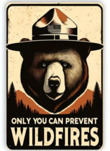 Only You Can Prevent Wildfires Smokey The Bear Novelty Metal Sign 8&quot; x 12&quot; - $8.98