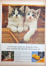 Vintage 1950s Kodak Kodacolor Film Print Ad Cute Kittens in Basket - £5.25 GBP