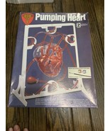 Three Dimensional Pumping Heart Model - £23.36 GBP