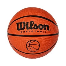 Wilson Mini Micro BasketBall -  - $22.00