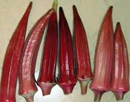 Okra Seed, Red Burgandy, Heirloom, Non GMO, 25+ Seeds, Garden Okra Seed - £4.07 GBP