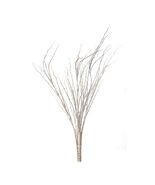 Snowy Flocked Branch (Set of 2) - 790553 - $56.80