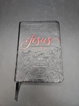 Jesus in Red 365 Meditations on the Words of Jesus Faux Leather Cover - $9.03
