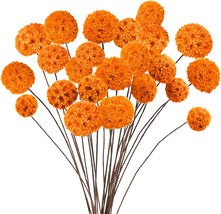 Phliofd 24 Pcs Dried Craspedia Billy Balls Flowers, 18” Natural Dried, Orange - £35.96 GBP