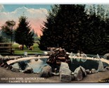 Gold Fish Pond Lincoln Park Tacoma Washington WA UNP DB Postcard V18 - $3.91