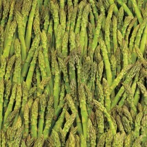 100 Asparagus Seeds  Mary Washington Vegetable Garden NON-GMO USA  - £3.97 GBP