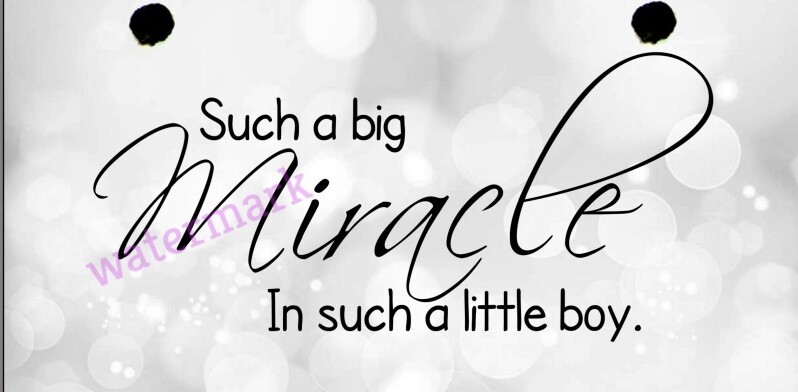 &quot;SUCH A BIG MIRACLE IN SUCH A LITTLE BOY&quot; QUOTE PUBLICITY 8.5 X 11 PHOTO - $11.26