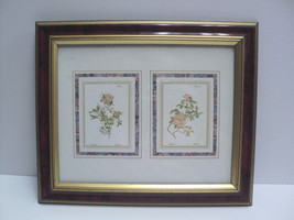 Art Resources Int&#39;l Botanical Floral Picture Cistaceae &amp; Rockrose Framed 10 x 12 - £16.21 GBP