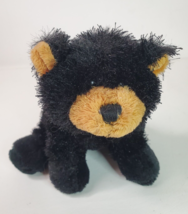 Ganz  Webkinz  Black Bear 7in Plush Stuffed Animal Toy - No Code HM004 - £6.93 GBP