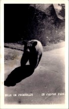 RPPC Bear on Pomedade in Jasper Park Canada PC1 - £15.65 GBP