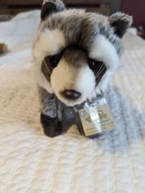 NEW Ganz RETIRED Webkinz SIGNATURE Raccoon WKS1004 With code UNSEALED - £47.62 GBP