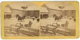 c1890&#39;s Unique Stereoview Card Showing Beautiful Farm Scene With Cows and Barn - £6.04 GBP