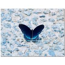 Butterfly Ceramic Tile Wall Mural Kitchen Backsplash Bathroom Shower P50... - £94.80 GBP+