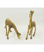 Brass African Giraffe Decorative Statue Figurine Standing Pair - £15.95 GBP