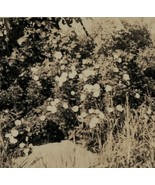 Real Photo Blood Place Creepy Urban Legend Rural 1945 Maine Silver Print... - $26.86