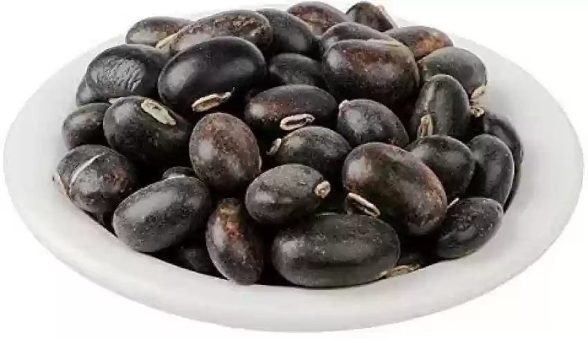 Black Kauch Bean Seed - £10.42 GBP+