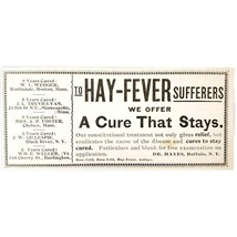 Dr Hayes Hay Fever Buffalo 1897 Advertisement Victorian Quack Medicine A... - $368.12 MXN