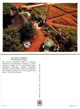 Georgia Pine Mountains Callaway Gardens Mr. Cason&#39;s Vegetable Field VTG Postcard - £7.51 GBP