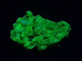 1.8 Gram  Autunite Crystals on Matrix, Fluorescent Uranium Ore - $27.00