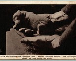 Baby Bear Cub Born In Forest Park Springfield MA UNP Geo Graves WB Postc... - $11.83