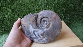 Item image 6