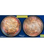 1887 MS-63 (CAC certified) Silver Dollar PCGS- Beautifully dual sided toned - €236,32 EUR