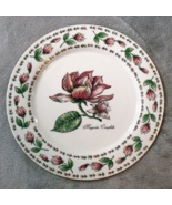 Tabletops Unlimited Botanical Gardens 10.5&quot; Dinner Plate Magnolia Campbellu - $12.95