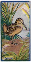 Cowan Co Toronto Card Bird Woodcock - £7.78 GBP