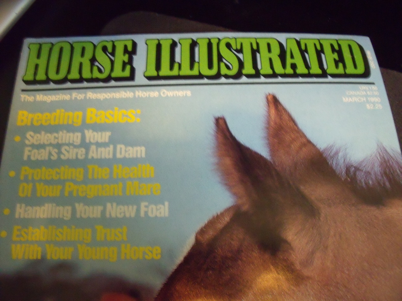Horse Illustrated Back Issue March 1990 - $6.00
