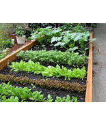 Vegetable Garden Collection, Small, Heirloom, Organic Seeds, 10 Top Vari... - £8.59 GBP