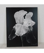 Blooming Iris Black White Foam Mounted Signed D Carlton Photo Pacific NW... - $5.95