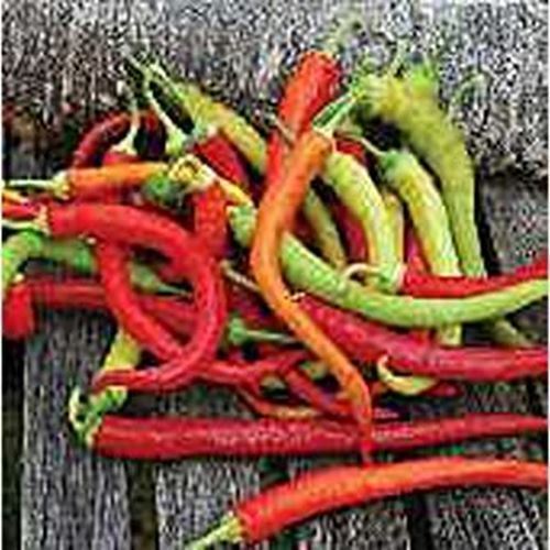 PM Corbaci Sweet Peppers Seeds (20+ Seeds) | Non GMO | Vegetable Fruit H... - $3.98