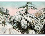 Winter Scene Mount Lowe Railroad California CA DB Postcard O19 - $3.91
