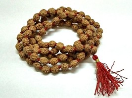 Non Dye Natural Origin Color Rudraksha Mala 108+1 Beads Rosary Mala 8 mm... - £7.28 GBP