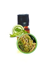 Carrot Seed Essential Oil -5ml (1/6oz)-Very High Caratol-70%-PURE Daucus... - $19.59